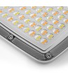 50W LED-lyskaster CCT - IP65, 3 lysfarger, utendørs