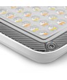 50W LED-lyskaster CCT - IP65, 3 lysfarger, utendørs