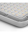 100W LED lyskaster CCT - IP65, utendørs, arbeidslampe