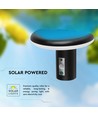 2W LED solcelle hageklampe med sensor - IP54, 3000K, svart