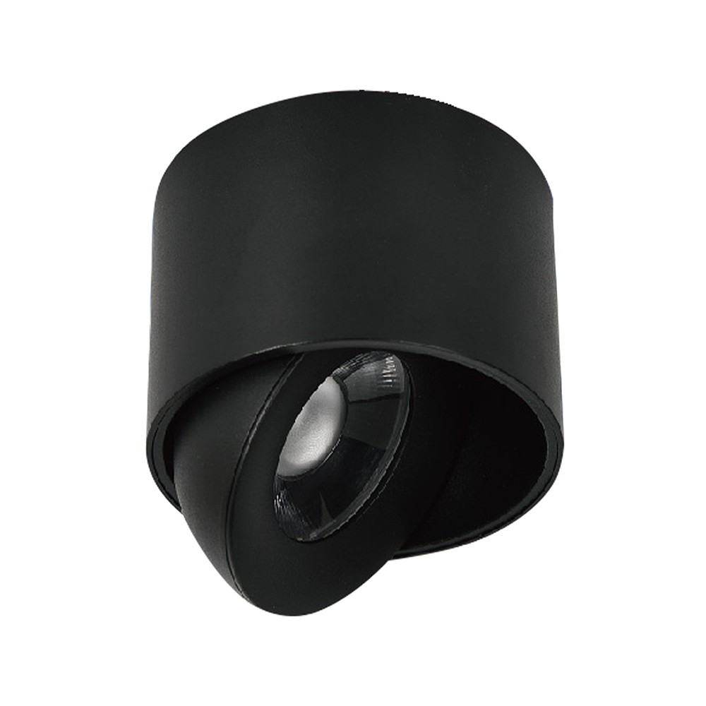 12W LED utenpåliggende spot - IP44, svart, CCT, Cree-brikke - Kulør : 3-i-1