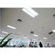 LEDlife 2G11-PRO31 - LED rør, 15W, Erstat 24W, 31 cm, 2G11