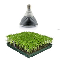 LED 12W vekstlampe, E27, Grow lamp