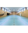 200W sportshall taklampe - UGR19, blender ikke, Philips driver