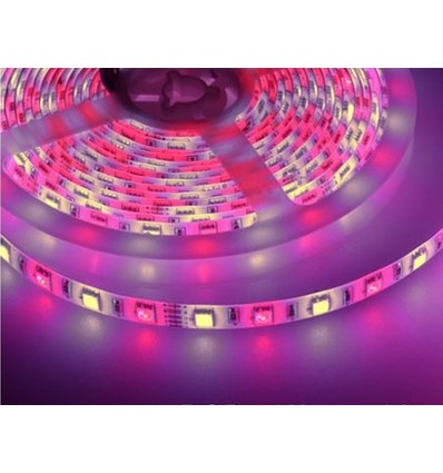 5m 10,8W/m RGB+WW LED-strip - 60 LED pr. meter