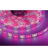 V-Tac 10,8W/m RGB+WW LED strip - 5m, 60 LED per meter