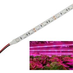 Vekstlys 9,6W/m vanntett vekst LED strip - 5m, 60 LED per meter, IP65