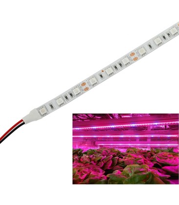 9,6W/m vanntett vekst LED strip - 5m, 60 LED per meter, IP65