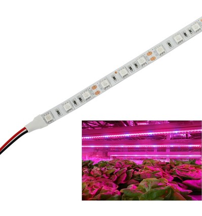 9,6W/m vanntett vekst LED strip - 5m, 60 LED per meter, IP65