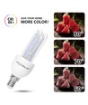 Outlet: E14 4W LED B5 T3 2U - 3000K