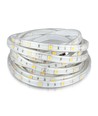 5m 4,8W/m sprutsikker LED-strip - IP65, 30 LED pr. meter