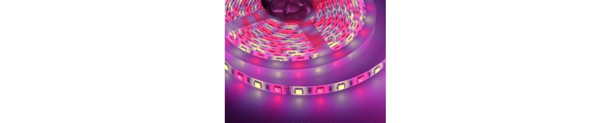 RGB+W LED strip 12V