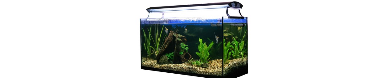 Akvariebelysning